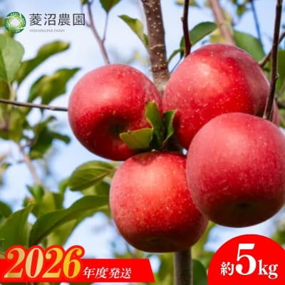  菱沼農園　りんご「サンふじ」約5kg【2026年度発送】No.1232