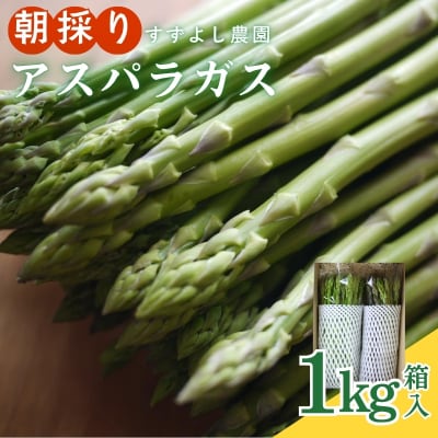 【農家直送】鮮度抜群! アスパラガス 1kg箱入【2026年発送】No.0793