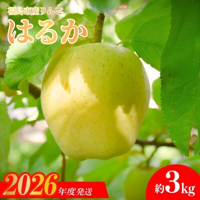  りんご「はるか」約3kg【2026年度発送】No.1474