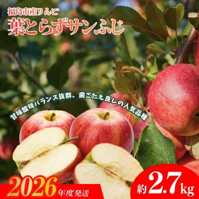 ふくしまのりんご 葉取らずサンふじ 贈答用　約2.7kg【2026年度発送】 No.1924