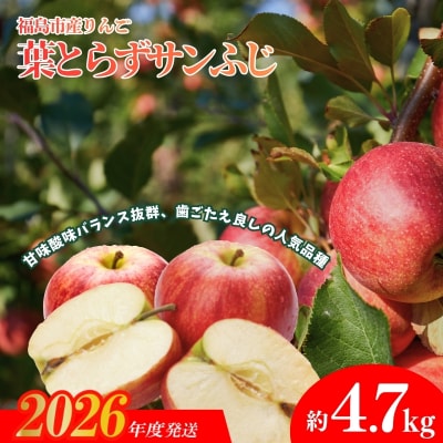 ふくしまのりんご 葉取らずサンふじ 贈答用　約4.7kg【2026年度発送】 No.1925