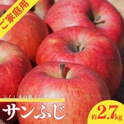 ふくしまの葉取らずサンふじ　ご家庭用　約2.7kg【2025年度発送】 No.1926