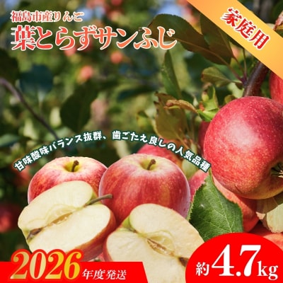 ふくしまのりんご 葉取らずサンふじ ご家庭用　約4.7kg【2026年度発送】 No.1927