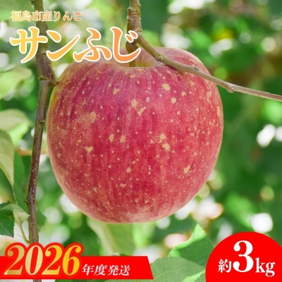  りんご「サンふじ」約3kg【2026年度発送】No.1471