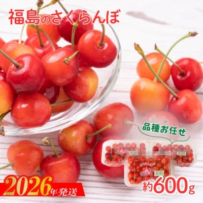 さくらんぼ 品種お任せ 秀　L玉　約600g【2026年発送先行受付】No.2094No.