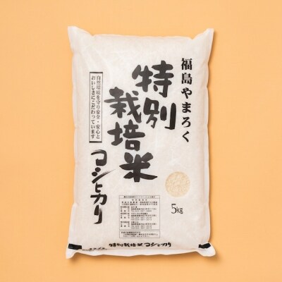 やまろく商店【令和6年産】特別栽培コシヒカリ 精米5kg　No.1943