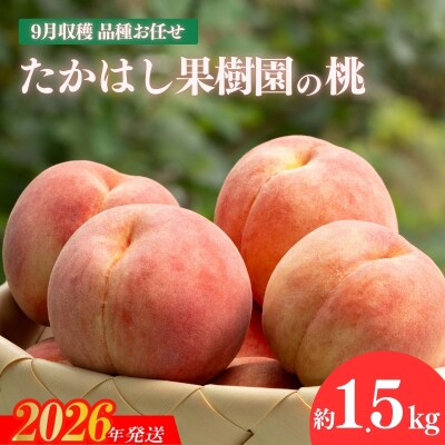 たかはし果樹園の桃 9月収穫約1.5kg【2026年発送 先行予約】No.1906