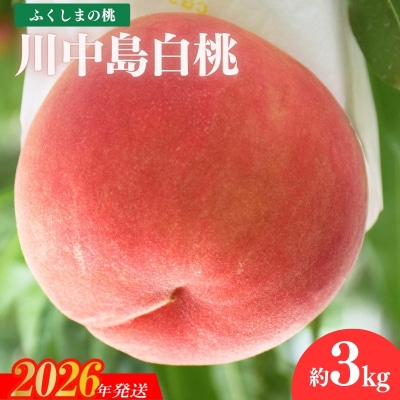  もも「川中島白桃」約3kg【2026年発送　先行受付】No.1979