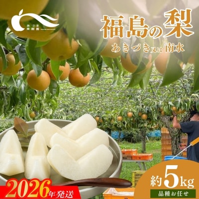 梨　品種おまかせ　(あきづき又は南水)約5kg【2026年発送】No.1768