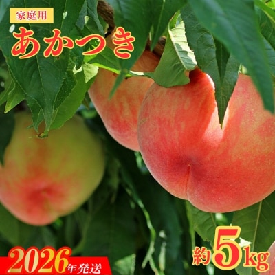 福島のもも 家庭用あかつき 約5kg【2026年発送 先行受付】No.2155