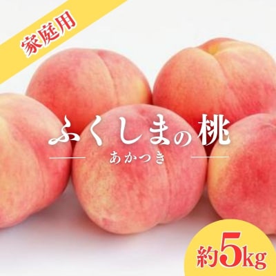 福島のもも　家庭用 あかつき　約5kg【2025年 先行受付】No.2155