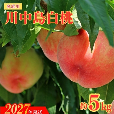 【ご家庭用】福島のもも　川中島白桃　約5kg【2027年発送】No.2156
