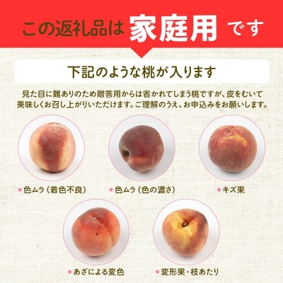 【ご家庭用】福島のもも　川中島白桃　約5kg【2027年発送】No.2156