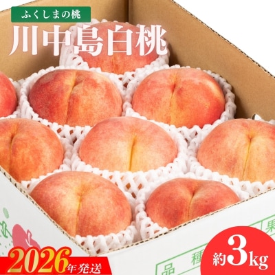 福島のもも 川中島白桃 約3kg【2026年発送 先行受付】No.2153
