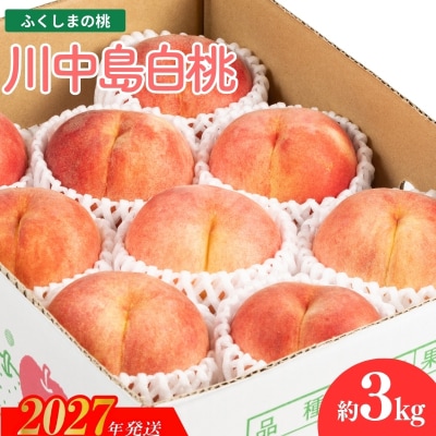 福島のもも　川中島白桃　約3kg_MF-1【2027年発送】No.2153