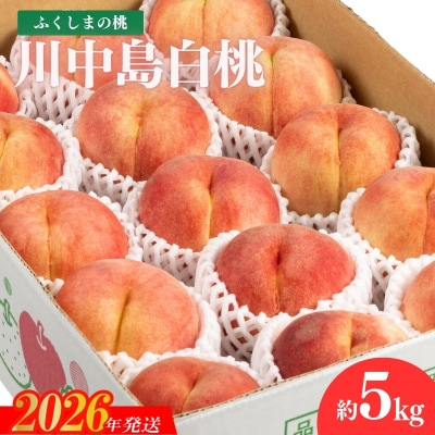 福島のもも　川中島白桃　約5kg【2026年発送　先行受付】No.2154