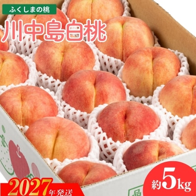 福島のもも　川中島白桃　約5kg_MF-2【2027年発送】No.2154