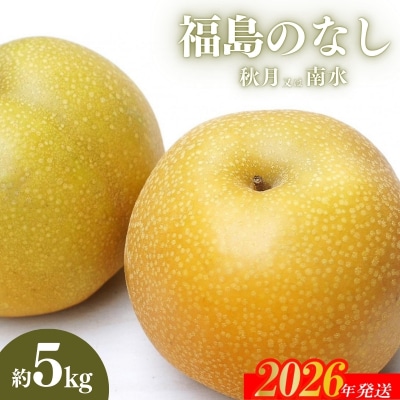 福島のなし　秋月または南水　約5kg【2026年発送　先行受付】No.2186