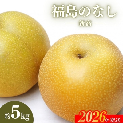 福島のなし　新高　約5kg【2026年発送　先行受付】No.2190