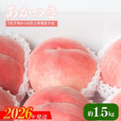  もも「あかつき」約1.5kg 化粧箱入【2026年発送 先行受付】No.2218