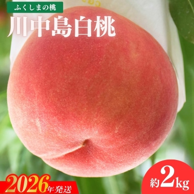 もも「川中島白桃」約2kg【2026年発送 先行受付】No.2212
