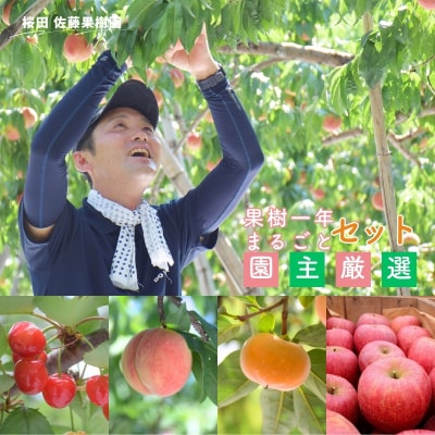 桜田/佐藤果樹園　果樹まるごと一年おまかせセット【2026年発送 先行受付】No.2223