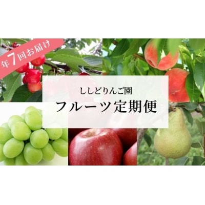 大満足フルーツ7回定期便【2025年発送】No.2248