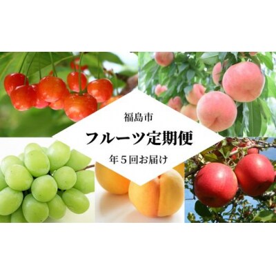 フルーツ5品定期便 【2025年発送】No.2257