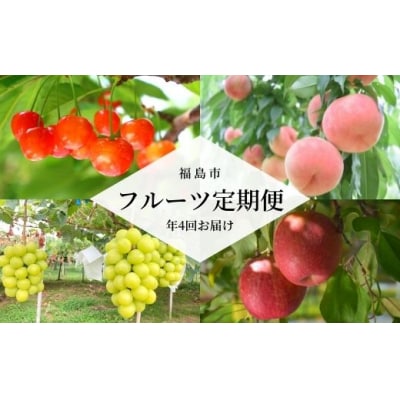フルーツ4品定期便 【2025年発送】No.2258