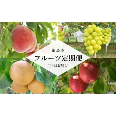 あかつきから始まるフルーツ4品定期便【2025年発送】No.2262