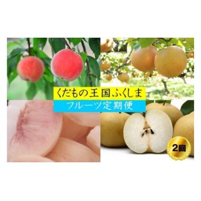 【2023年発送分】フルーツ2種定期便 No.2036