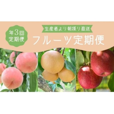 フルーツ3品定期便 各約2kg【2025年発送】No.2268