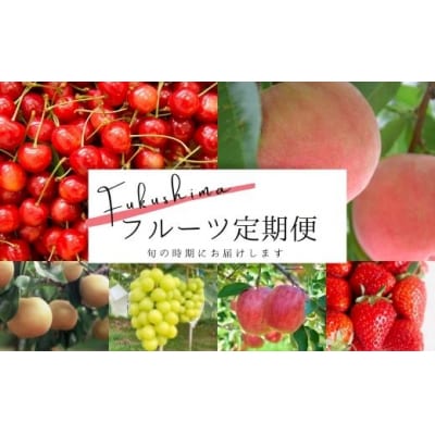 さくらんぼから始まる果物6品 定期便【2025～26年発送】No.2273