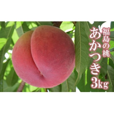 もも「あかつき」約3kg【2025年発送】No.2206