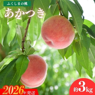もも「あかつき」約3kg【2026年発送 先行受付】No.2206