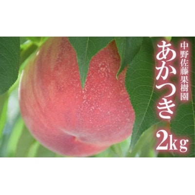 もも「あかつき」約2kg【2025年発送】No.2211