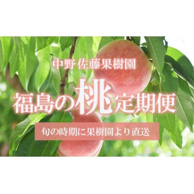 福島の桃3種定期便 各3kg【2025年発送】No.2222