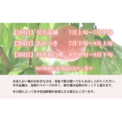 福島の桃3種定期便 各3kg【2025年発送】No.2222