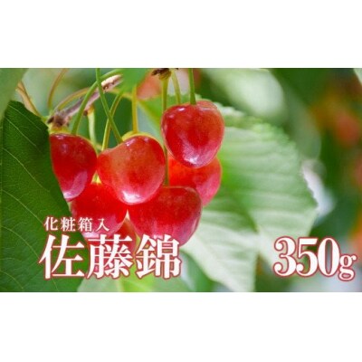 さくらんぼ 佐藤錦化粧箱入り350g【2025年発送】No.2279