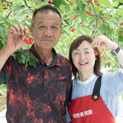 ヤマ考紺野果樹園 さくらんぼ 佐藤錦化粧箱入り350g【2026年発送　先行受付】No.2279