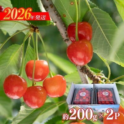ヤマ考紺野果樹園 さくらんぼ 佐藤錦 200g×2パック【2026年発送　先行受付】No.2282