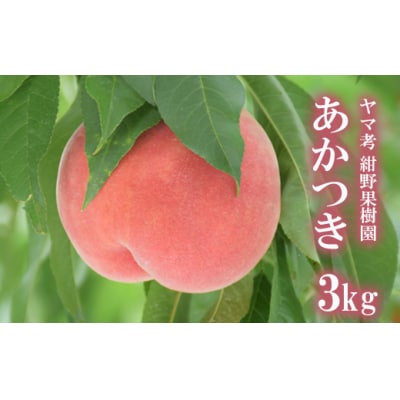 ヤマ考紺野果樹園 もも あかつき約3kg【2025年発送】No.2228