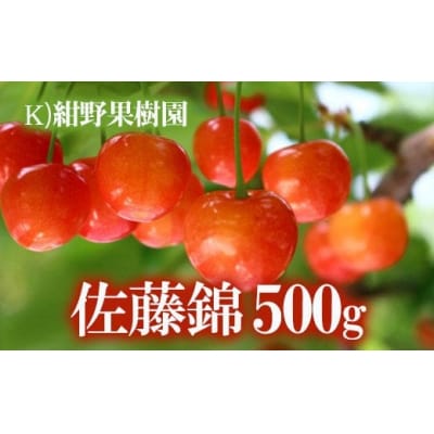さくらんぼ「佐藤錦」約500g【2025年発送】No.2240