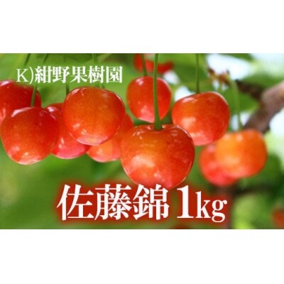 さくらんぼ「佐藤錦」約1kg【2025年発送】No.2241