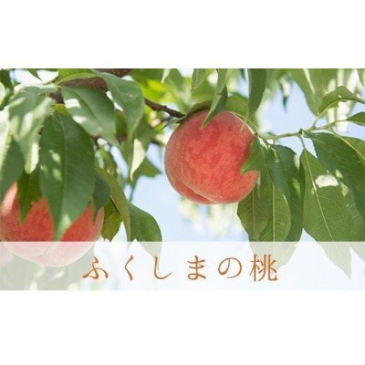 もも「あかつき」約5kg【2025年発送】No.2244