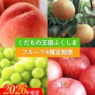 フルーツ4種 定期便 桃 梨 ぶどう りんご【2026年発送 先行受付】No.2339
