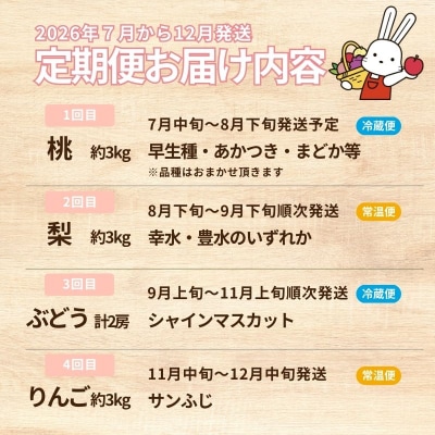 フルーツ4種 定期便 桃 梨 ぶどう りんご【2026年発送 先行受付】No.2339