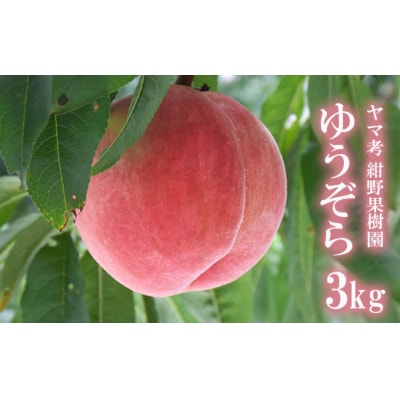 もも ゆうぞら約3kg【2025年発送】No.2230