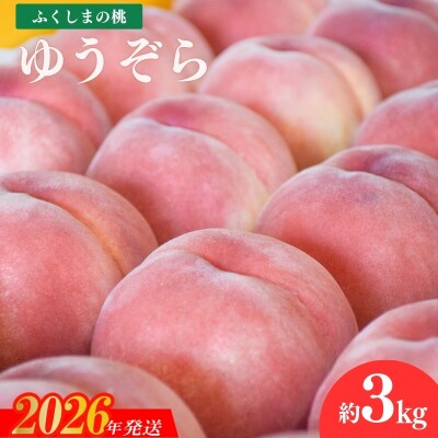 ヤマ考紺野果樹園 もも ゆうぞら約3kg【2026年発送　先行受付】No.2230