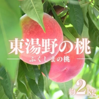 特選福島・東湯野のもも約2kg【2025年発送】No.2293